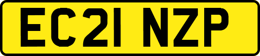 EC21NZP