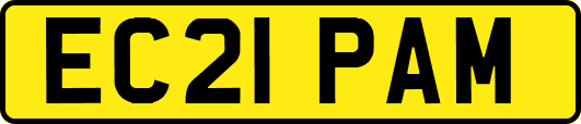 EC21PAM