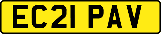 EC21PAV