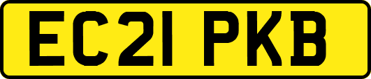 EC21PKB