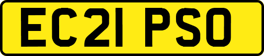 EC21PSO