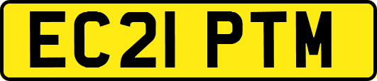 EC21PTM