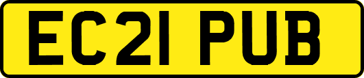 EC21PUB