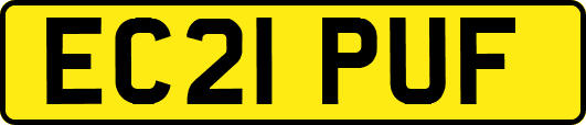 EC21PUF