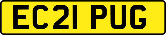 EC21PUG