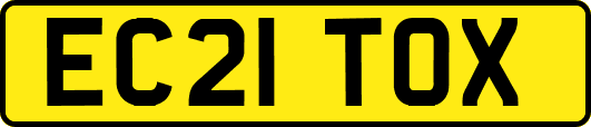EC21TOX
