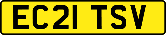 EC21TSV