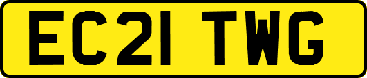 EC21TWG