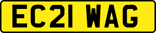EC21WAG