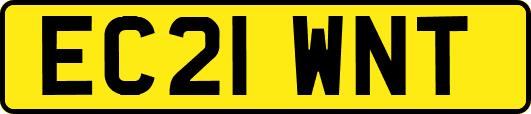 EC21WNT