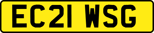 EC21WSG