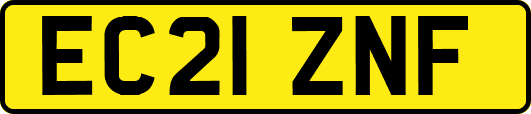 EC21ZNF