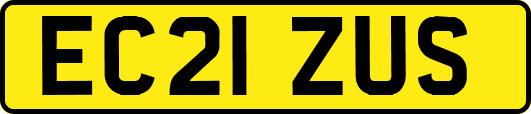 EC21ZUS