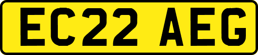 EC22AEG