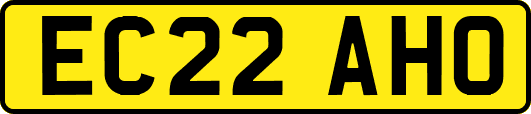 EC22AHO