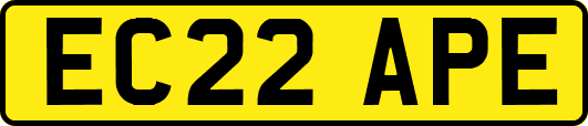 EC22APE