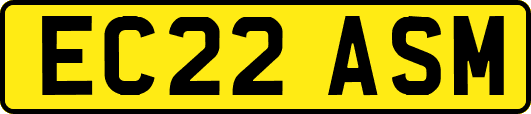 EC22ASM