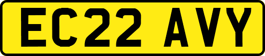 EC22AVY