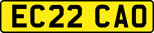 EC22CAO