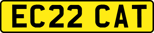 EC22CAT
