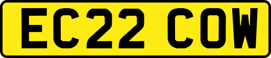 EC22COW