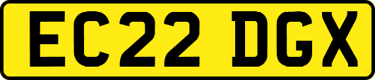 EC22DGX