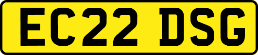 EC22DSG