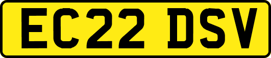 EC22DSV