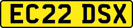 EC22DSX