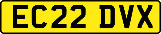 EC22DVX