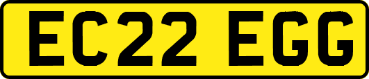 EC22EGG