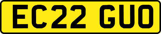 EC22GUO