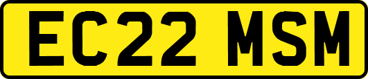 EC22MSM