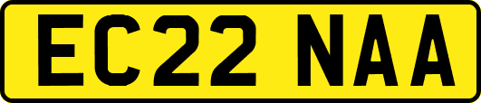 EC22NAA
