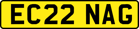 EC22NAG