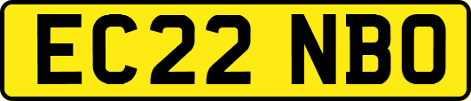 EC22NBO