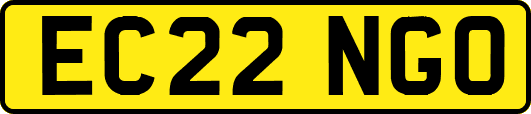 EC22NGO