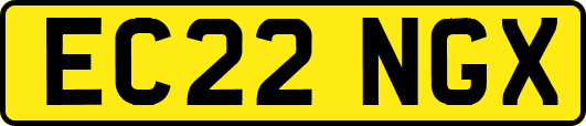 EC22NGX