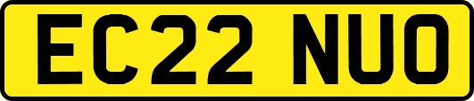 EC22NUO
