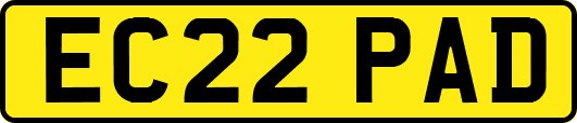 EC22PAD