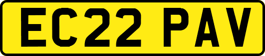 EC22PAV