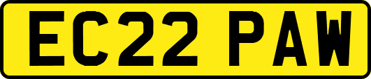EC22PAW