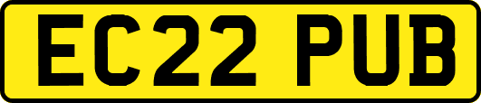 EC22PUB