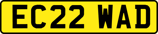 EC22WAD