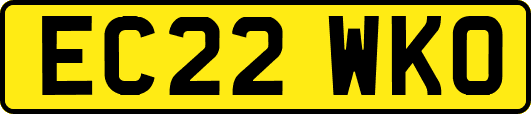 EC22WKO