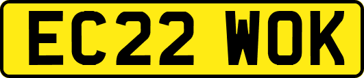 EC22WOK