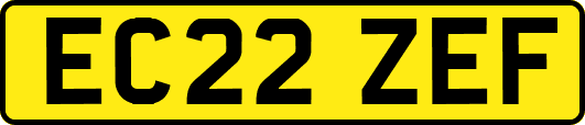 EC22ZEF