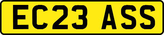 EC23ASS