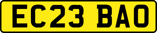 EC23BAO