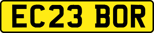 EC23BOR